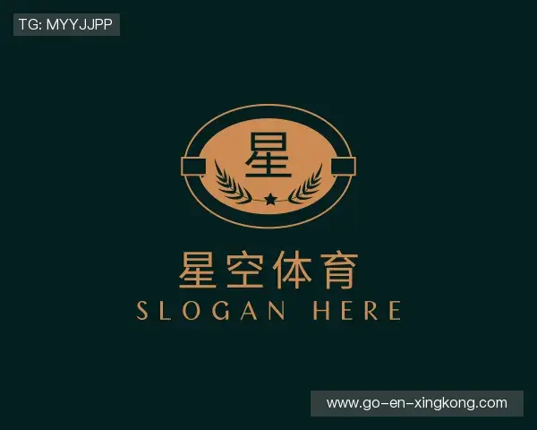 发现xingkong官方入口